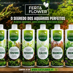 Kit Completo Fert&flower
