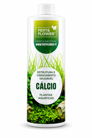 Cálcio