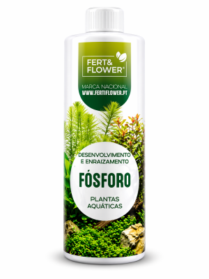 Fósforo