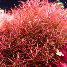 8339ff84-e70c-401c-964e-03611a68b704