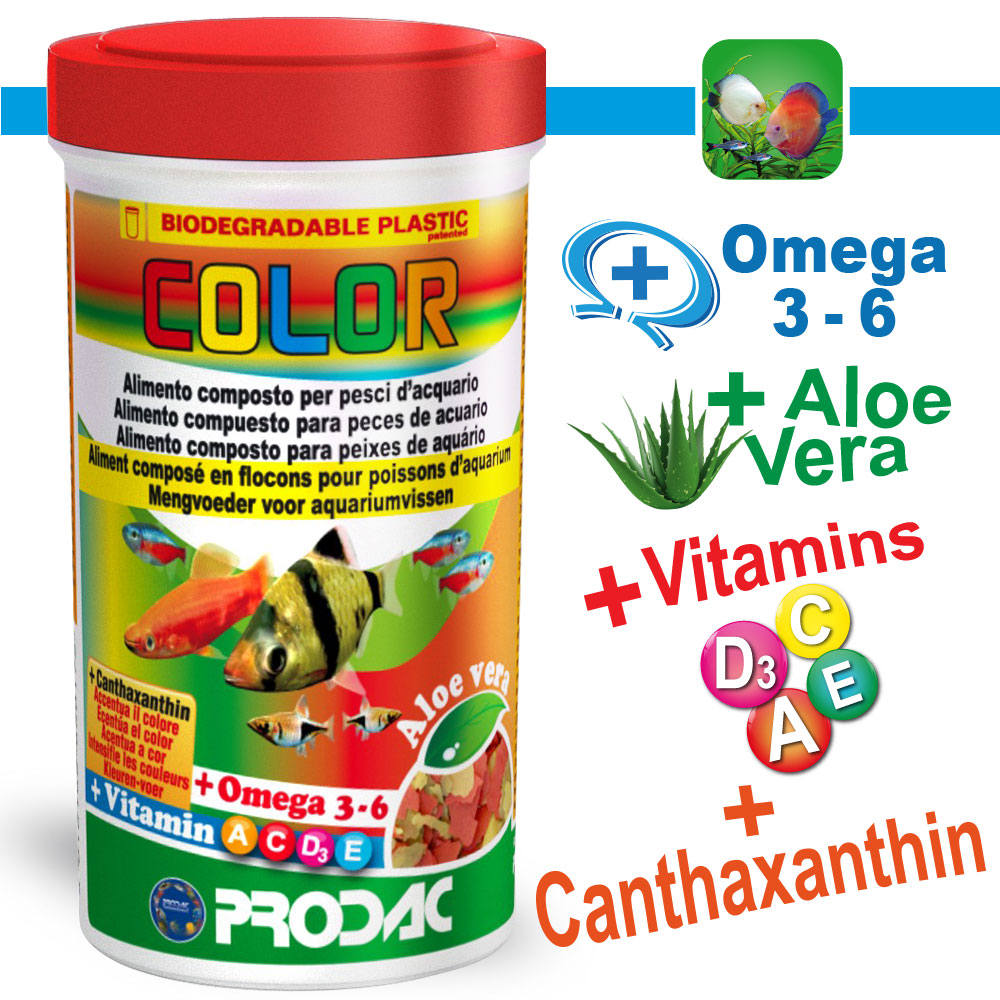 PRODAC – COLOR 250ml